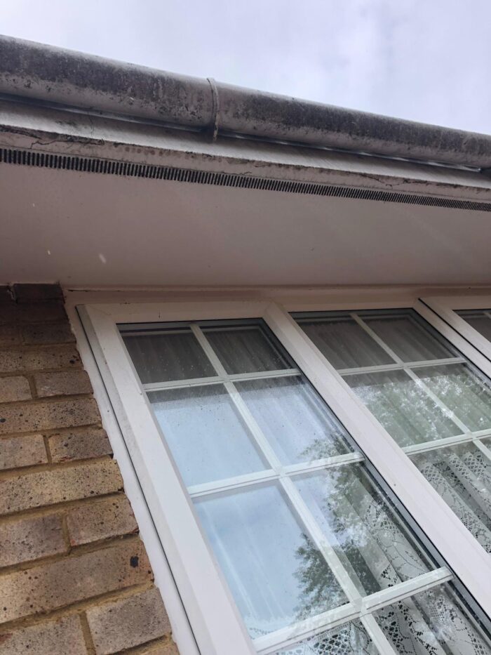 Window cleaning in St Albans